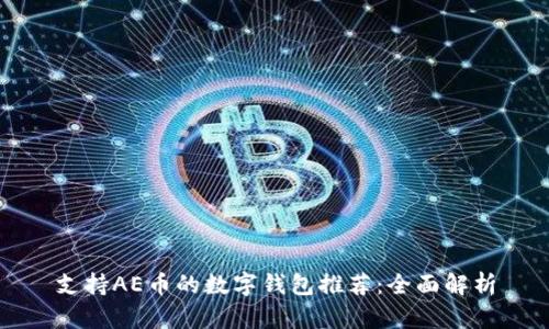 支持AE币的数字钱包推荐：全面解析