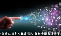 如何将私钥导入数字钱包：详细步骤与注意事项