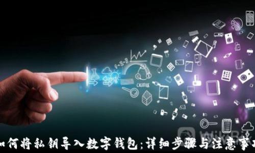 
如何将私钥导入数字钱包：详细步骤与注意事项