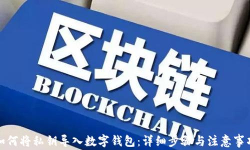 
如何将私钥导入数字钱包：详细步骤与注意事项