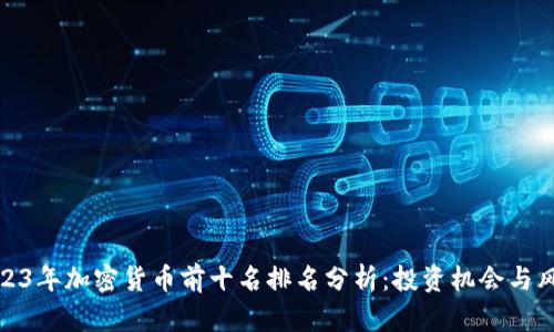 2023年加密货币前十名排名分析：投资机会与风险