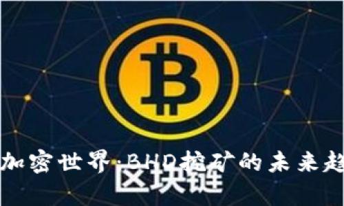 神秘的加密世界：BHD挖矿的未来趋势解析