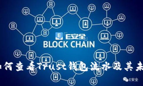 全面解析：如何查看Trust钱包流水及其未来发展趋势