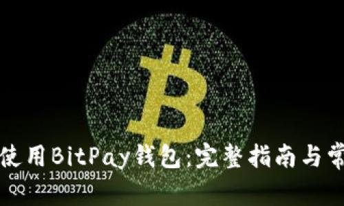 如何下载和使用BitPay钱包：完整指南与常见问题解答