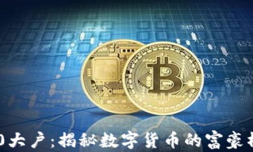 
比特币前100大户：揭秘数字货币的富豪榜与市场影响