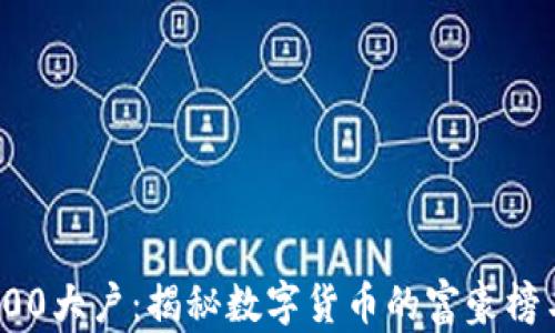 
比特币前100大户：揭秘数字货币的富豪榜与市场影响