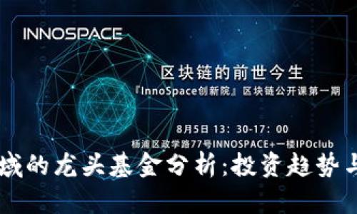 区块链领域的龙头基金分析：投资趋势与前景展望