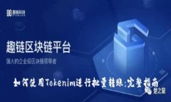 如何使用Tokenim进行批量转账：完整指南
