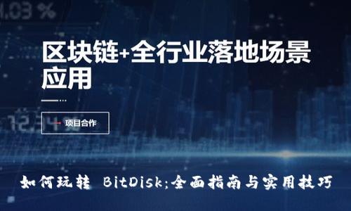 如何玩转 BitDisk：全面指南与实用技巧