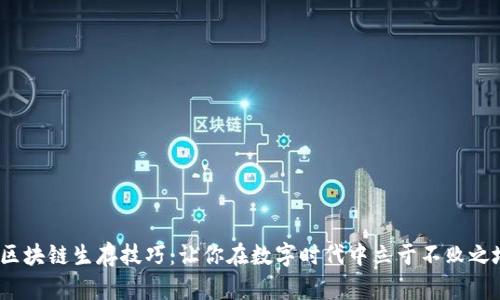  区块链生存技巧：让你在数字时代中立于不败之地