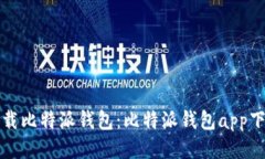 如何安全地下载比特派钱包：比特派钱包app下载