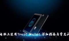 如何在电脑上使用Trust Wallet：详细指南与常见问
