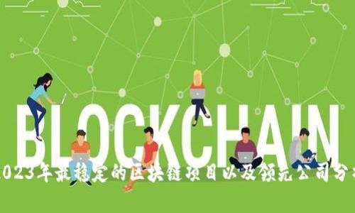 2023年最稳定的区块链项目以及领先公司分析